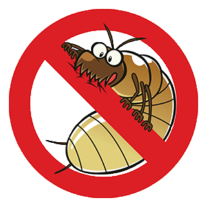 Termite Control